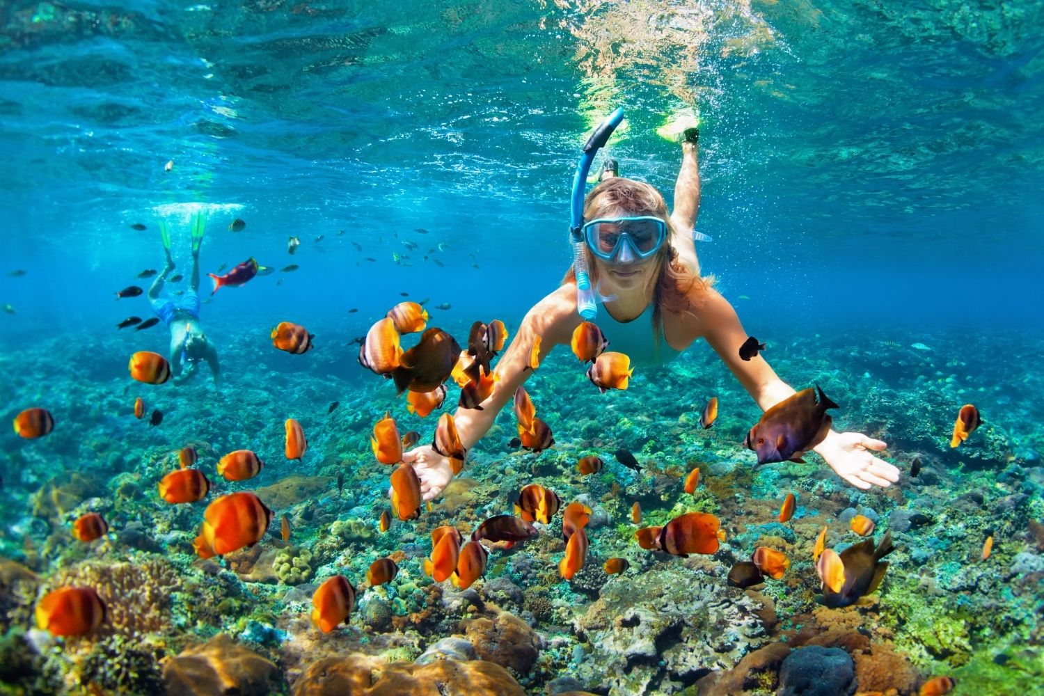 snorkeling in lakshadweep price Good Vibes Only